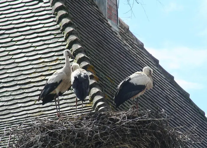 Du Chateau Lublin Apartmán